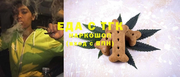 гашик Алексин
