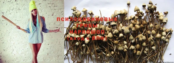 герыч Россошь