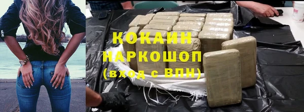 гашик Алексин