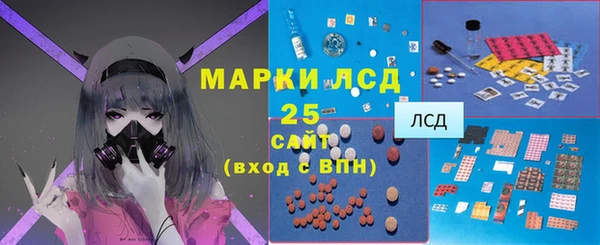гашик Алексин